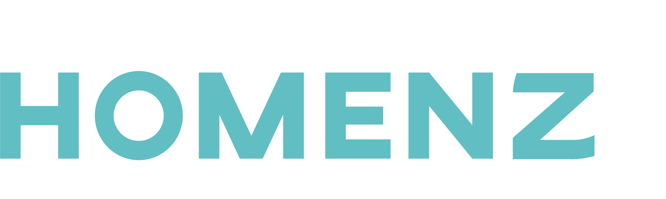 logo homenz flow curitiba